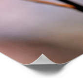 Japanse abrikozenbloemen poster (Hoek)