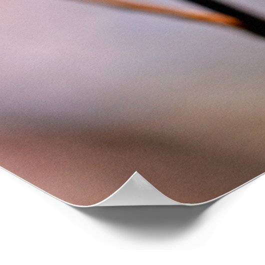 Japanse abrikozenbloemen poster (Hoek)