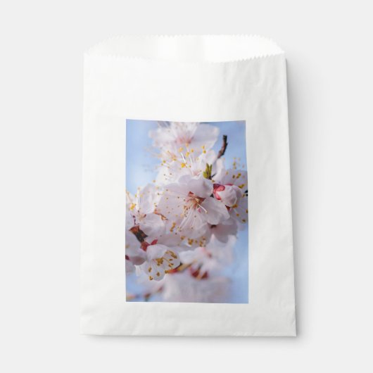 Japanse abrikozenbloesem bedankzakje (Voorkant)