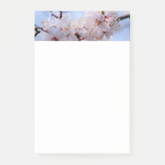Japanse abrikozenbloesem post-it® notes (Voorkant)
