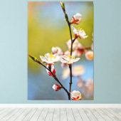 Japanse Abrikozenbloesems Canvas Afdruk (Insitu (Houten vloer))