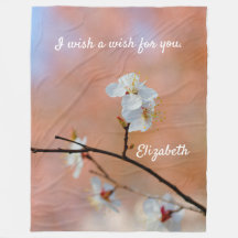 Japanse Abrikozenbloesems