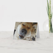 japanse akita hond met een leuke glimlach die je d kaart (Voorkant)