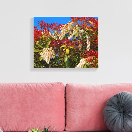 Japanse Andromeda Bonfire Canvas Afdruk (Insitu (Woonkamer))