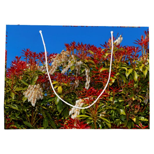 Japanse Andromeda Bonfire Large Cadeautasje (Achterkant)