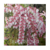Japanse Andromeda Plant Floral Tegeltje (Voorkant)