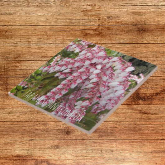 Japanse Andromeda Plant Floral Tegeltje