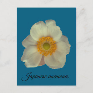 Japanse anemoon bloeit briefkaart