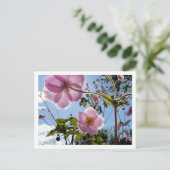 Japanse Anemoon Briefkaart (Staand voorkant)