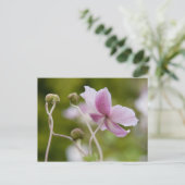 Japanse annemon | Herbstanemone Briefkaart (Staand voorkant)