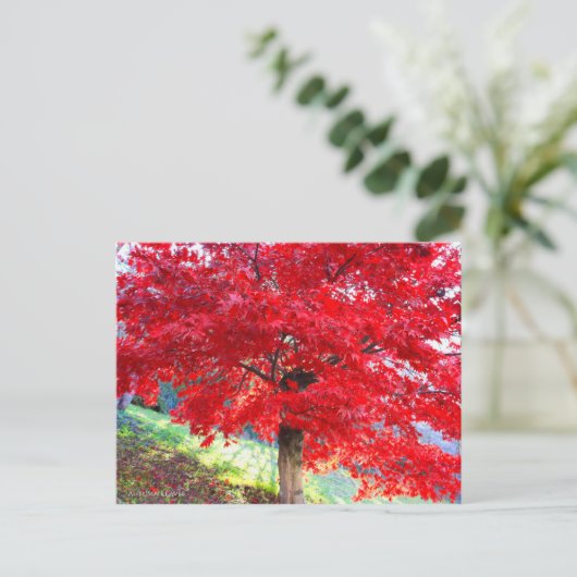 Japanse apel: Autumn Leaves [Briefkaart] Briefkaart (Staand voorkant)