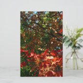 Japanse apel, herfstboombladeren briefpapier (Staand voorkant)