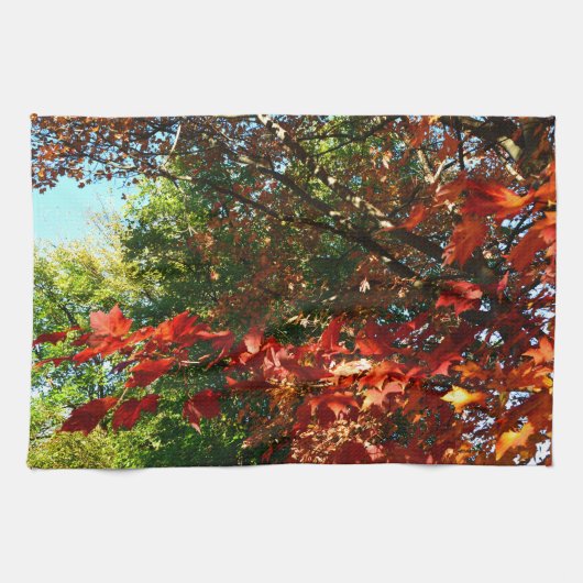 Japanse apel, herfstboombladeren theedoek (Horizontaal)