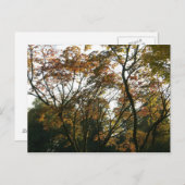Japanse apel in het najaar briefkaart (Voorkant / Achterkant)