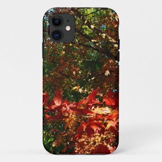 Japanse apel in het najaar Case-Mate iPhone case (Achterkant)