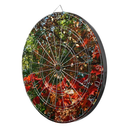 Japanse apel in het najaar dartbord (Voorkant Rechts)