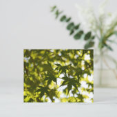Japanse apelbladeren in de zomer briefkaart (Staand voorkant)