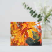Japanse apelbladeren in het najaar briefkaart (Staand voorkant)