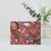 Japanse apelbladeren in het najaar briefkaart (Staand voorkant)