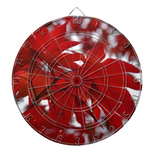 Japanse apelboom dartbord (Voorkant)