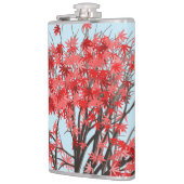 Japanse apelboom heupfles (Links)