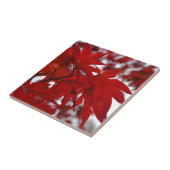 Japanse apelboom tegeltje (Zijkant)