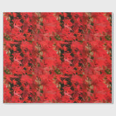 Japanse aple "Bloodgood" / Rode Herfst olie / Cadeaupapier (Vlak)