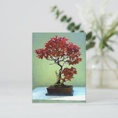 Japanse aple briefkaart (Staand voorkant)