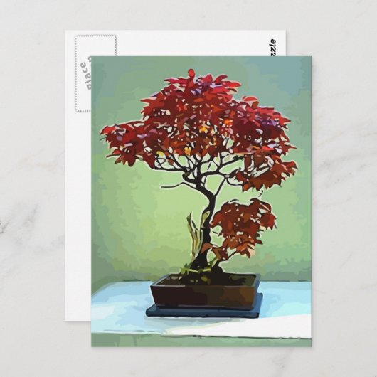 Japanse aple briefkaart (Voorkant / Achterkant)