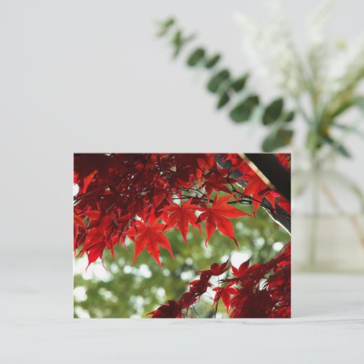 Japanse aple briefkaart (Staand voorkant)