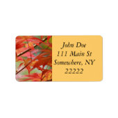 Japanse aple etiket (Voorkant)