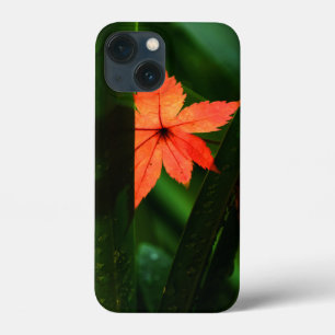 Japanse aple Leaf iPhone 13 Mini Hoesje