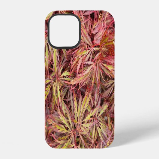 Japanse aple Leaf iPhone Hoesje (Achterkant)
