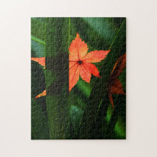 Japanse aple Leaf Legpuzzel
