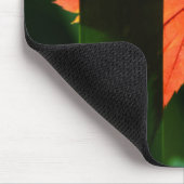 Japanse aple Leaf Muismat (Hoek)