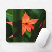 Japanse aple Leaf Muismat (Met muis)
