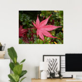 Japanse aple Leaf Poster (Thuiskantoor)