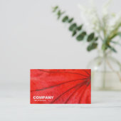 Japanse aple Leaf Visitekaartje (Staand voorkant)
