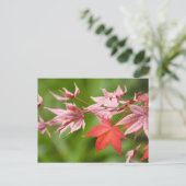 Japanse aple Leaves Briefkaart (Staand voorkant)