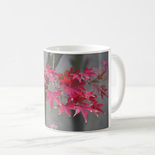 Japanse aple Leaves Koffiemok