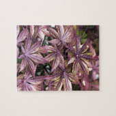 Japanse aple Leaves Legpuzzel (Horizontaal)