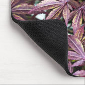 Japanse aple Leaves Muismat (Hoek)