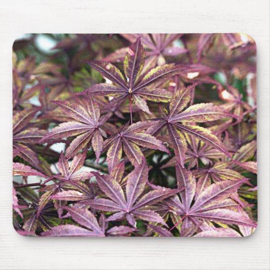 Japanse aple Leaves Muismat (Voorkant)