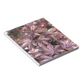 Japanse aple Leaves Notitieblok (Schuin)