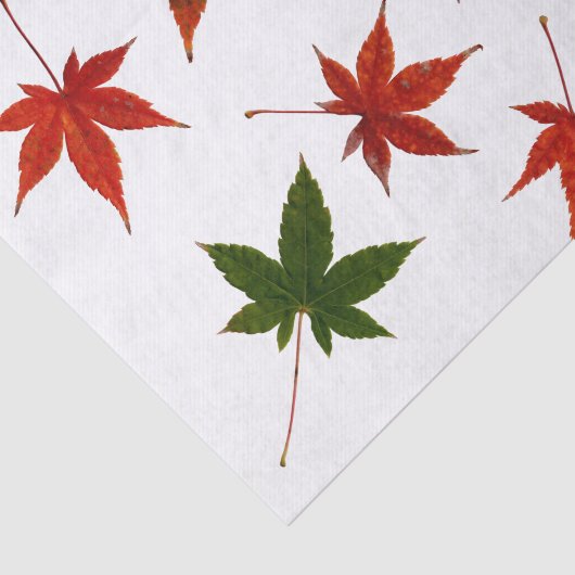Japanse aple Leaves Tissuepapier (Detail)