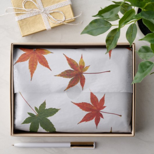 Japanse aple Leaves Tissuepapier (Geschenk)