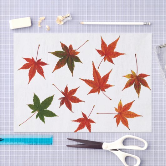 Japanse aple Leaves Tissuepapier (Craft)