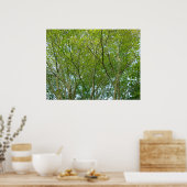 Japanse aple poster (Keuken)