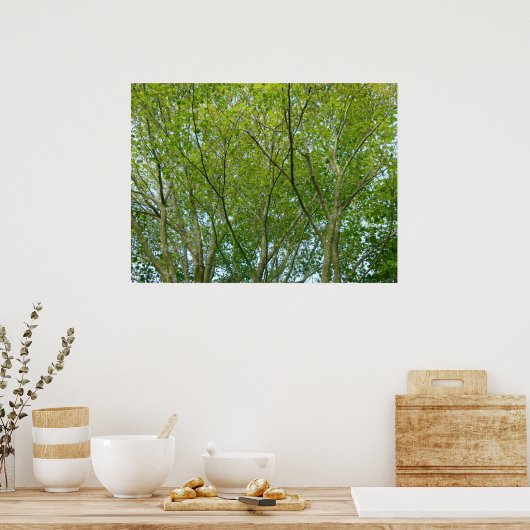 Japanse aple poster (Keuken)