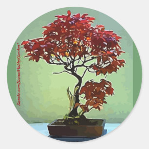 Japanse aple ronde sticker
